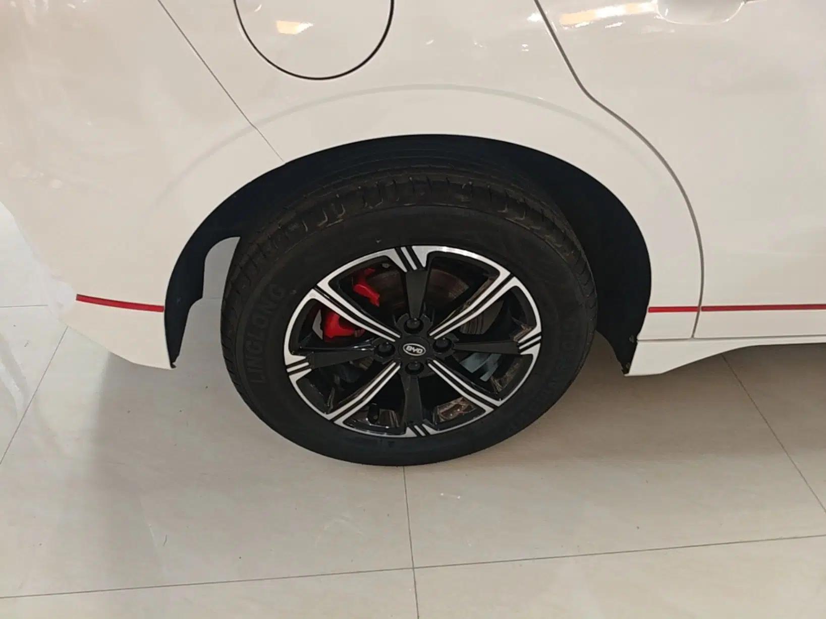 BYD e2 2021 Deluxe Model — миниатюра 11