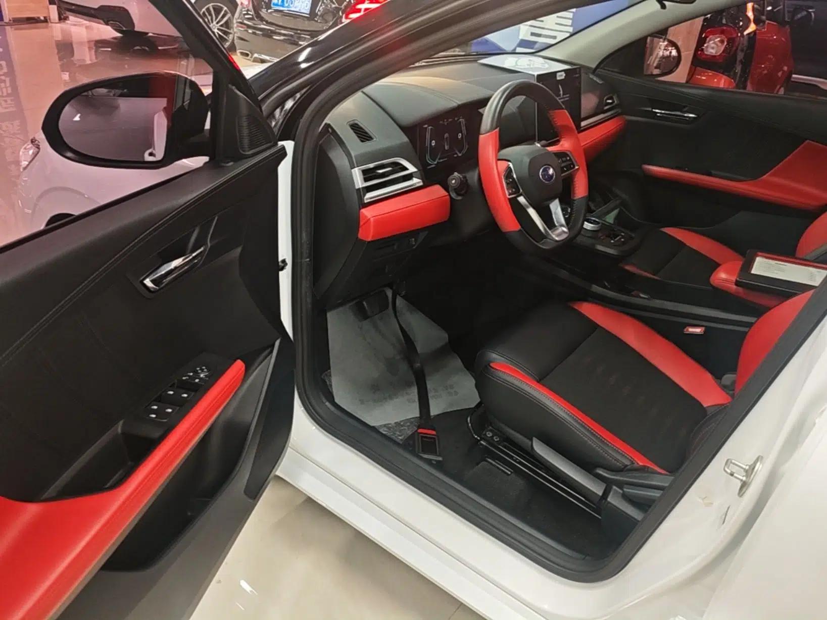 BYD e2 2021 Deluxe Model — миниатюра 18
