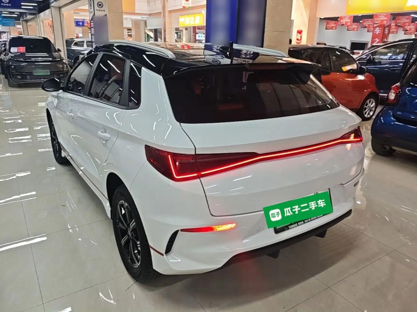BYD e2 2021 Deluxe Model — миниатюра 4