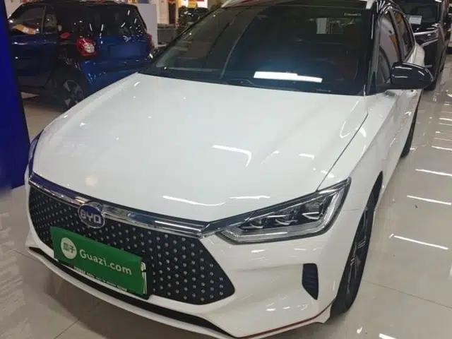 BYD e2 2021 Deluxe Model