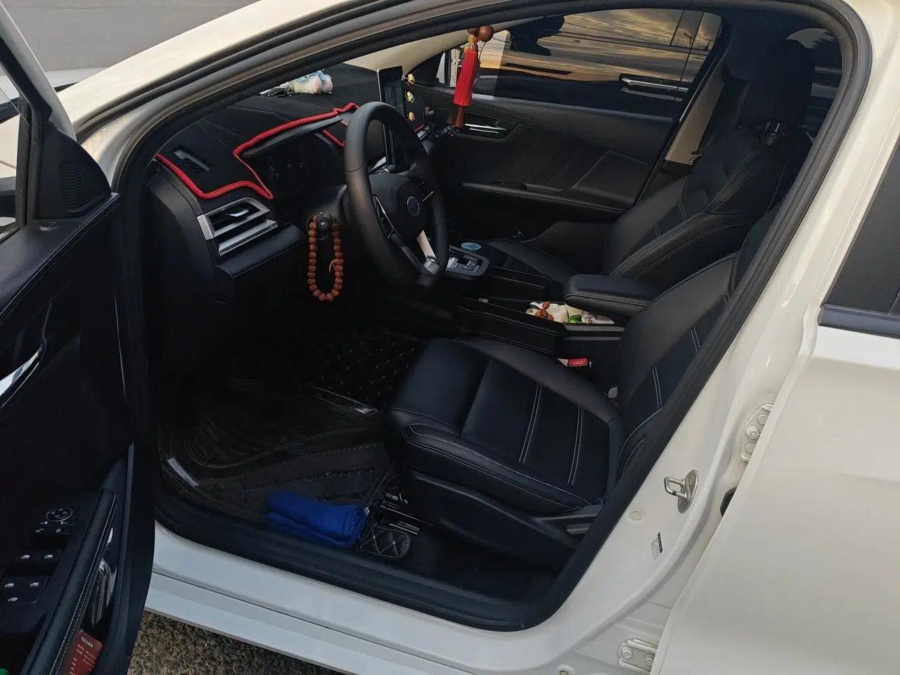 BYD e2 2019 Long-Range Version Yao·Luxury Trim — миниатюра 19