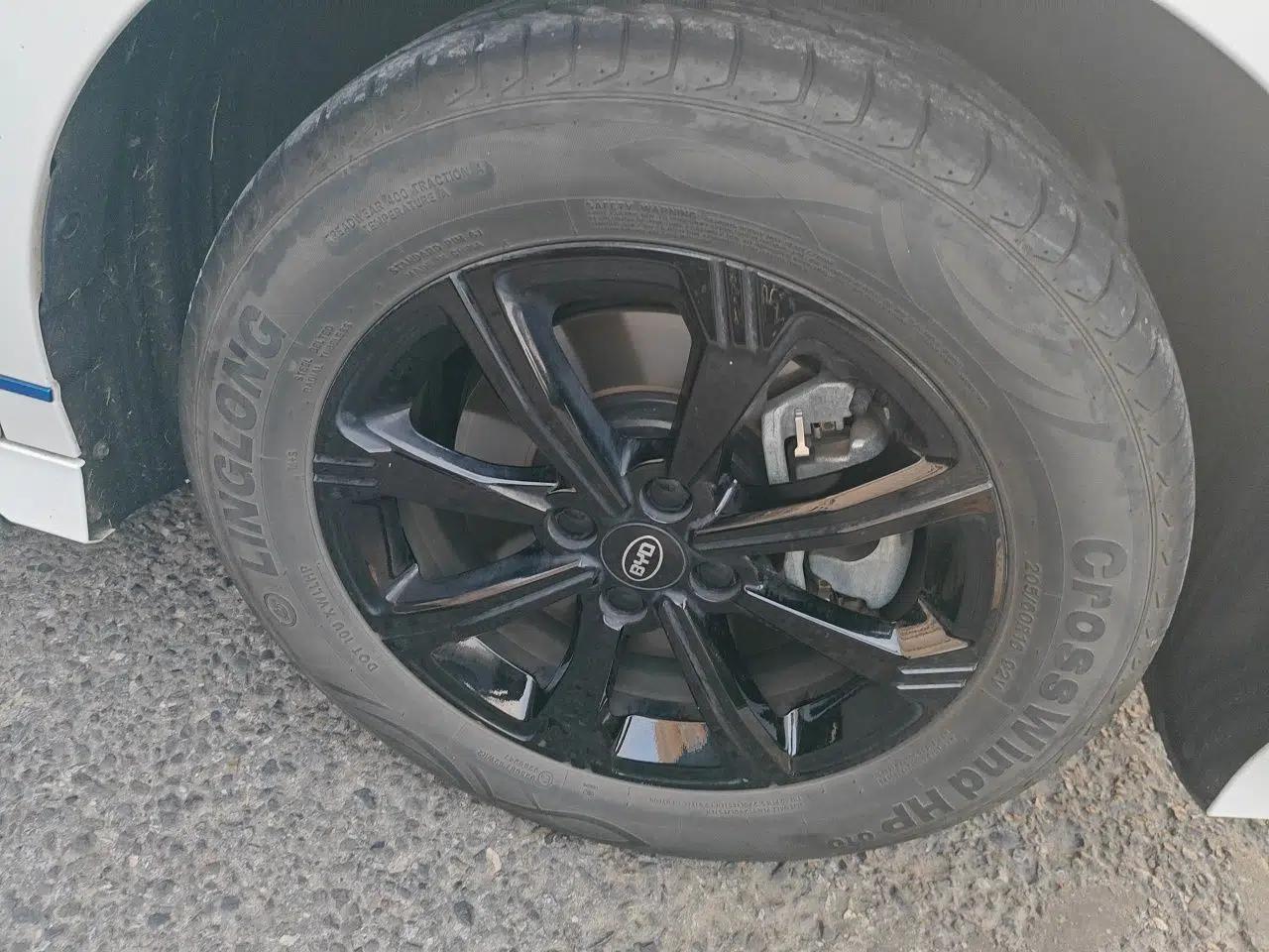 BYD e2 2019 Long-Range Version Yao·Luxury Trim — миниатюра 8