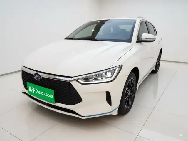 BYD e2 2019 Long-Range Version Yao·Luxury Trim
