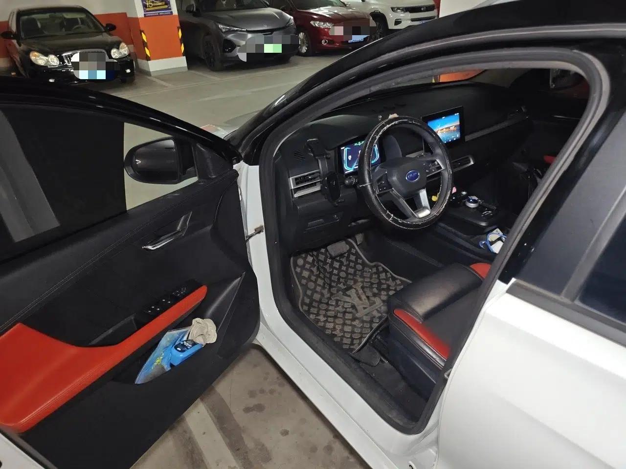 BYD e2 2019 Long-Range Version Yao·Luxury Trim — миниатюра 16
