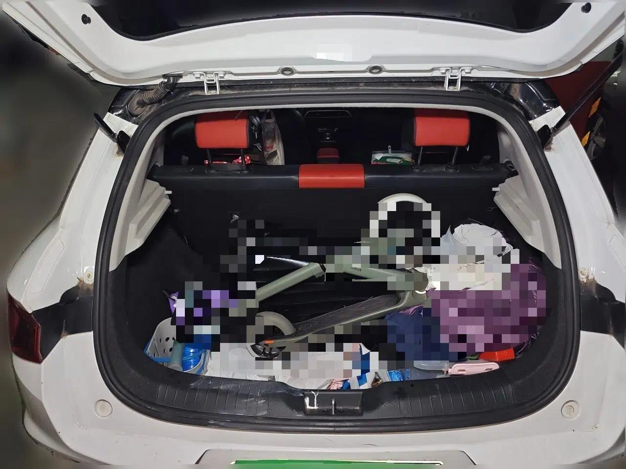 BYD e2 2019 Long-Range Version Yao·Luxury Trim — миниатюра 19