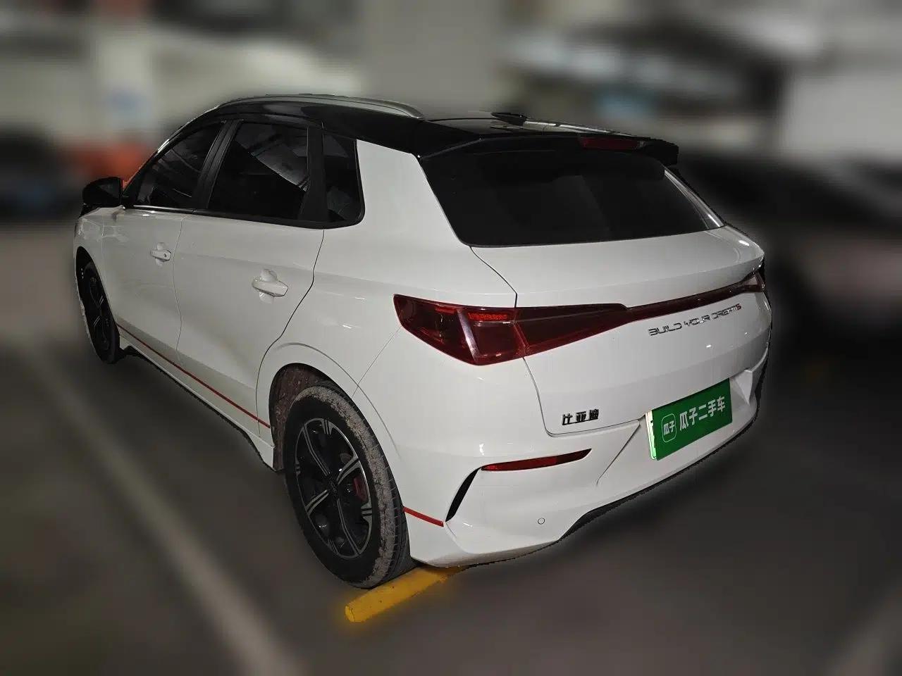 BYD e2 2019 Long-Range Version Yao·Luxury Trim — миниатюра 4