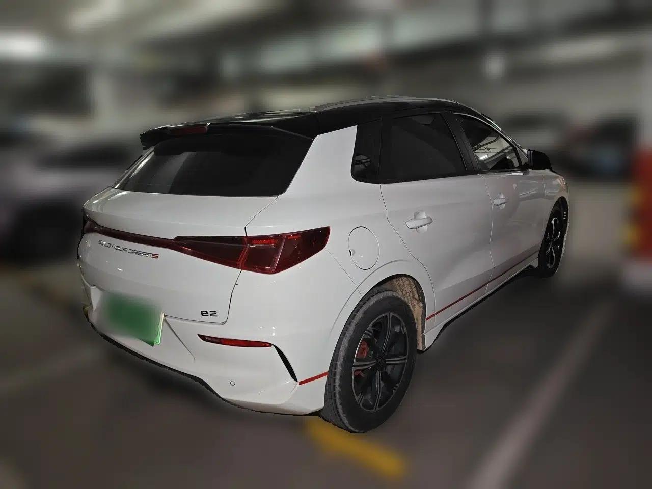 BYD e2 2019 Long-Range Version Yao·Luxury Trim — миниатюра 6