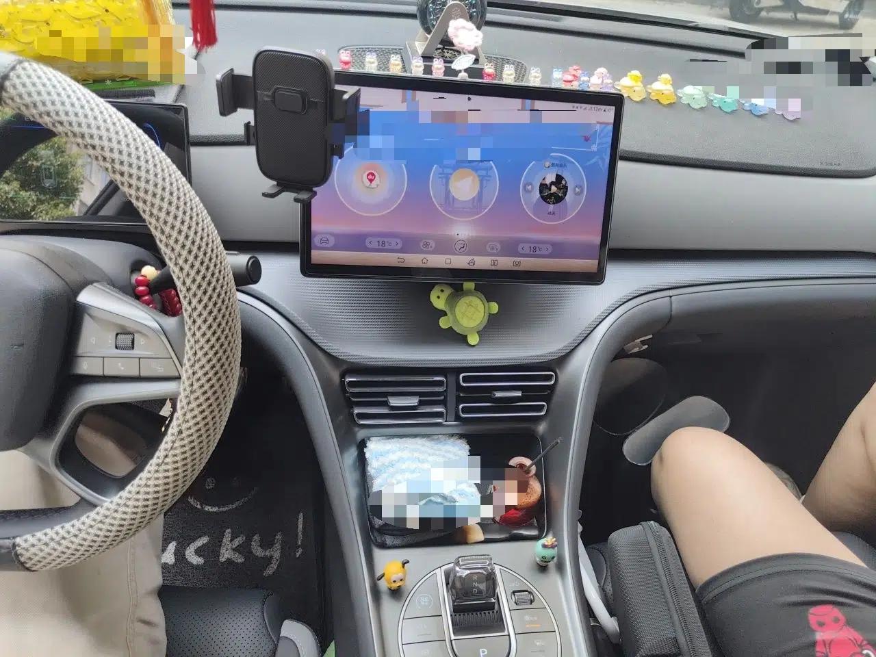 BYD Sealion 05 DM-i 2025 DM-i 75KM Luxury Model — миниатюра 13