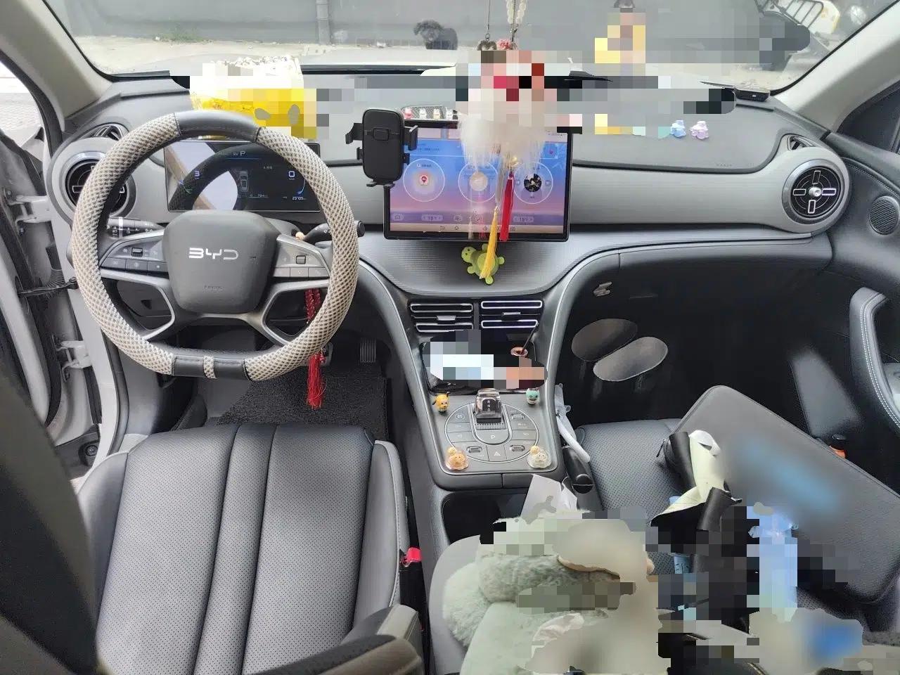BYD Sealion 05 DM-i 2025 DM-i 75KM Luxury Model — миниатюра 9