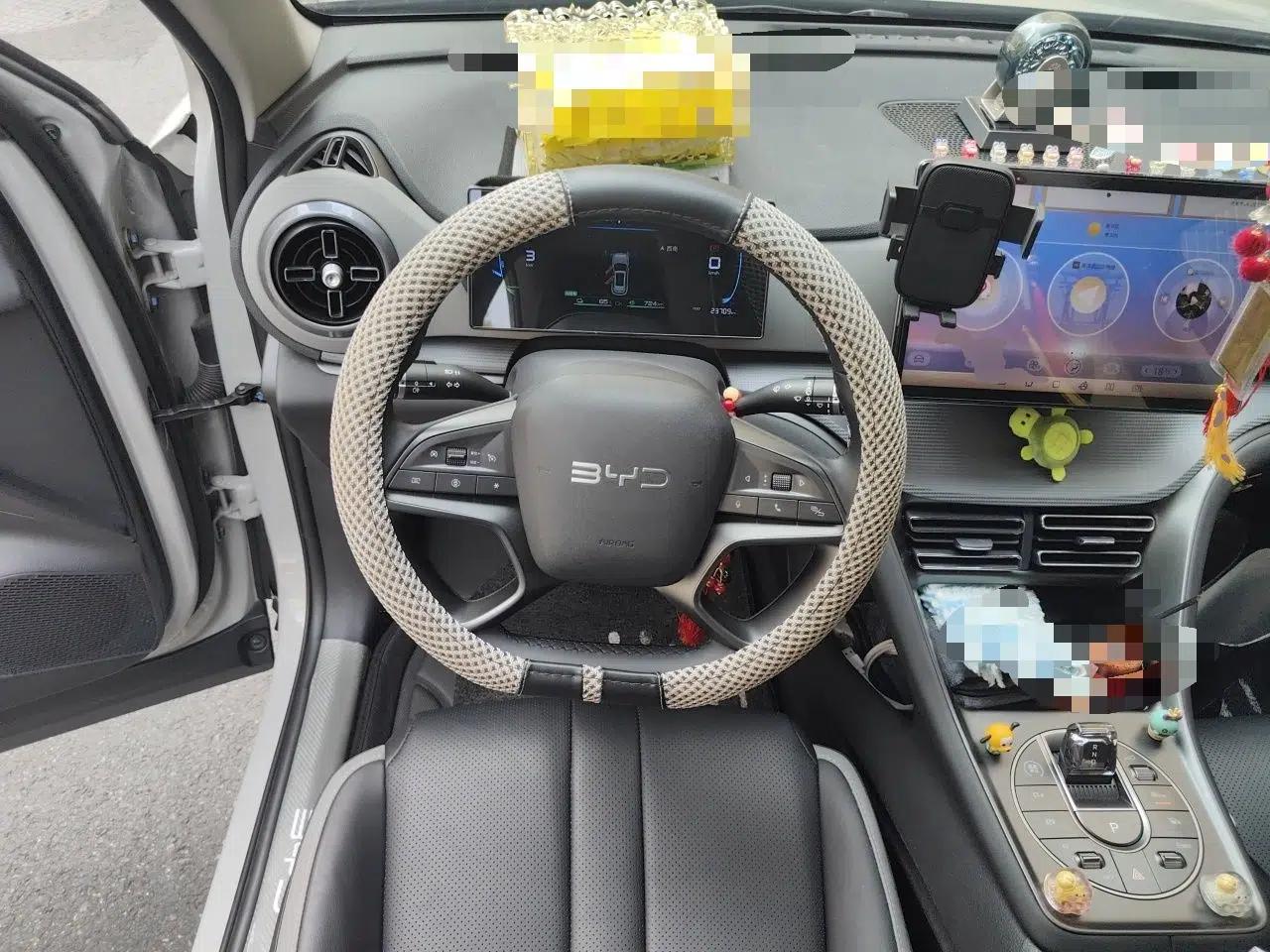 BYD Sealion 05 DM-i 2025 DM-i 75KM Luxury Model — миниатюра 10