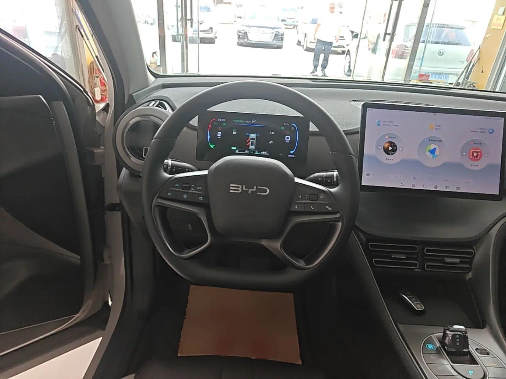 BYD Sealion 05 DM-i 2025 DM-i 75KM Prestige Model — миниатюра 13
