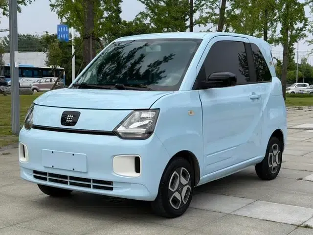 Fengguang MINIEV 2024 Model: Practical and Stylish