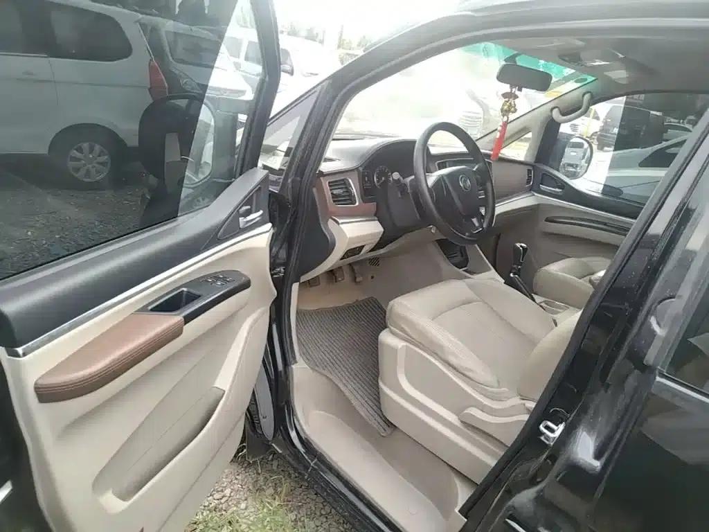 Lingzhi 2018 M5L 1.6L 7-seater Luxury — миниатюра 16