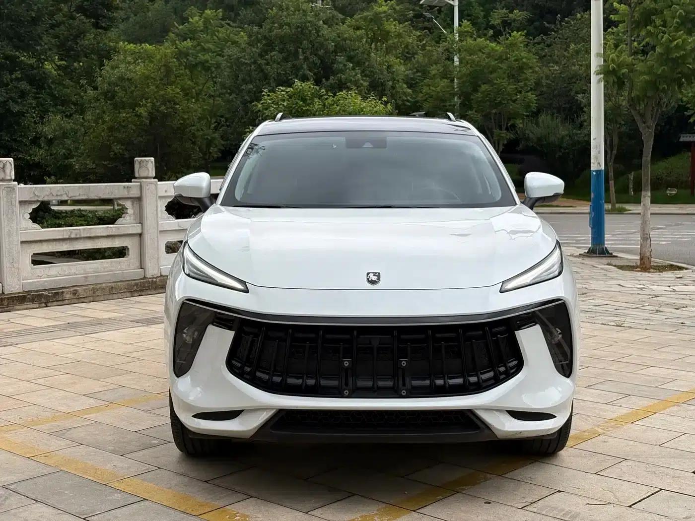 Fengxing T5 EVO 2021 1.5TD DCT Platinum Edition — миниатюра 2