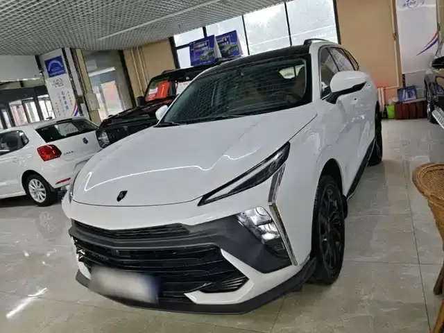 Fengxing T5 EVO 2024 Speed Edition 1.5TD DCT Mach Diamond Edition
