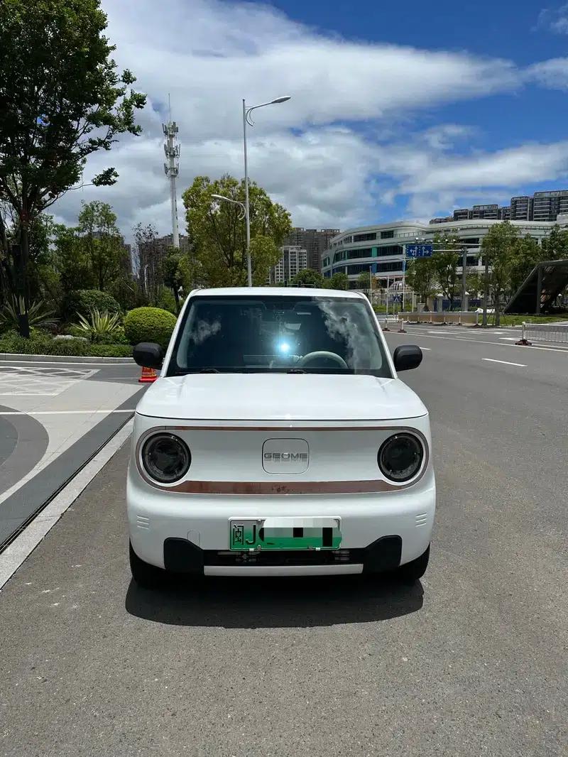 Panda 2023 200km Panda Mini Agile Bear — миниатюра 2
