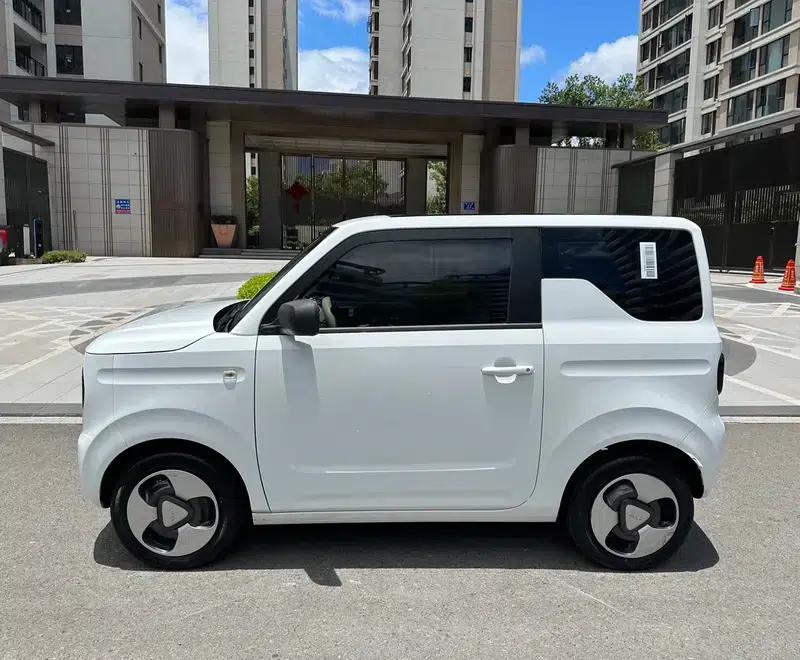 Panda 2023 200km Panda Mini Agile Bear — миниатюра 3