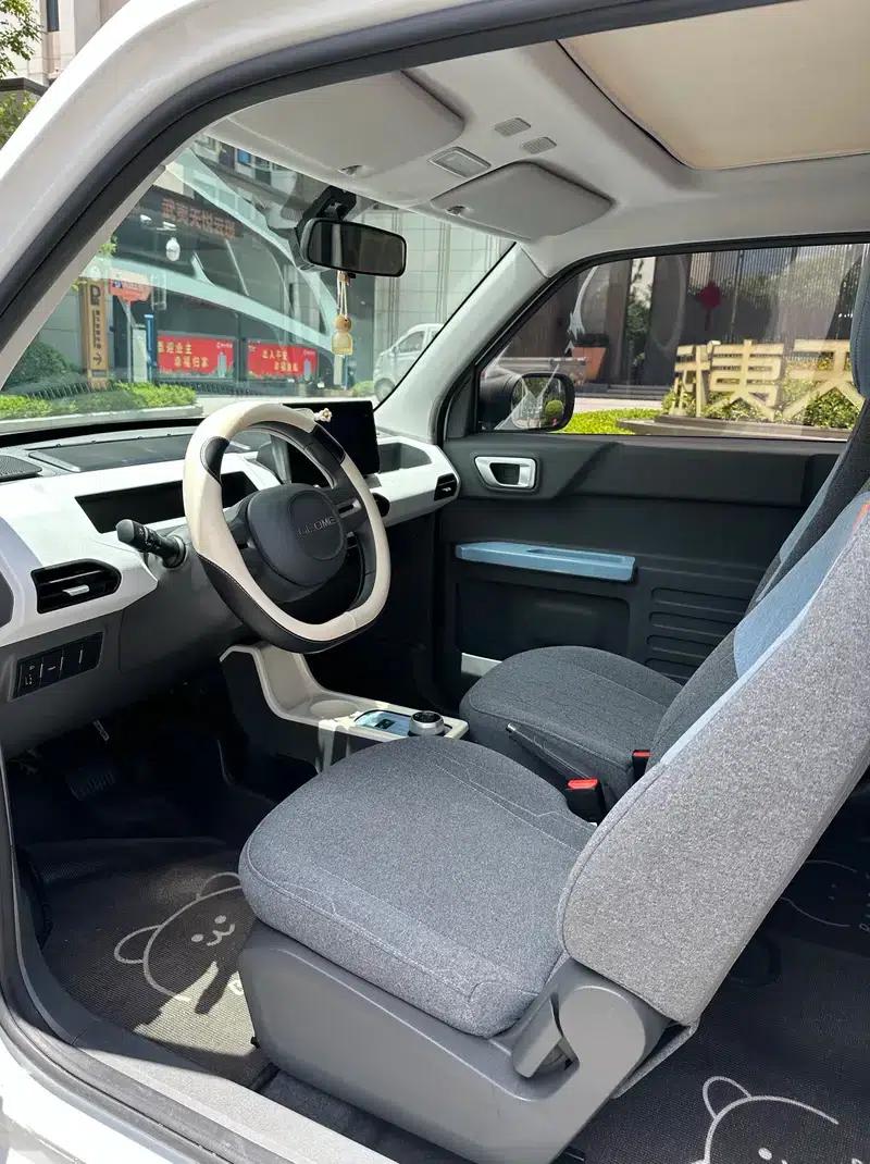 Panda 2023 200km Panda Mini Agile Bear — миниатюра 6