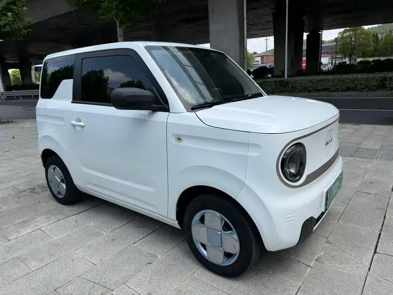 Panda 2023 200km Panda Mini Agile Bear — миниатюра 3