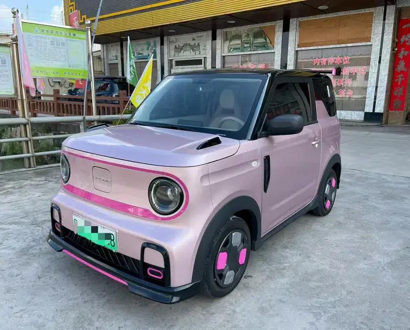 Panda 2025 Model 210km Panda Gokart — миниатюра 1