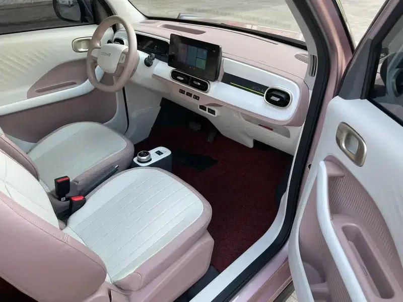 Panda 2025 Model 210km Panda Gokart — миниатюра 7
