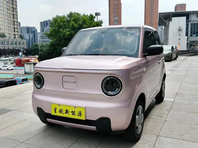 Panda 2024 Model 200km Panda Mini Endurance Bear — миниатюра 1