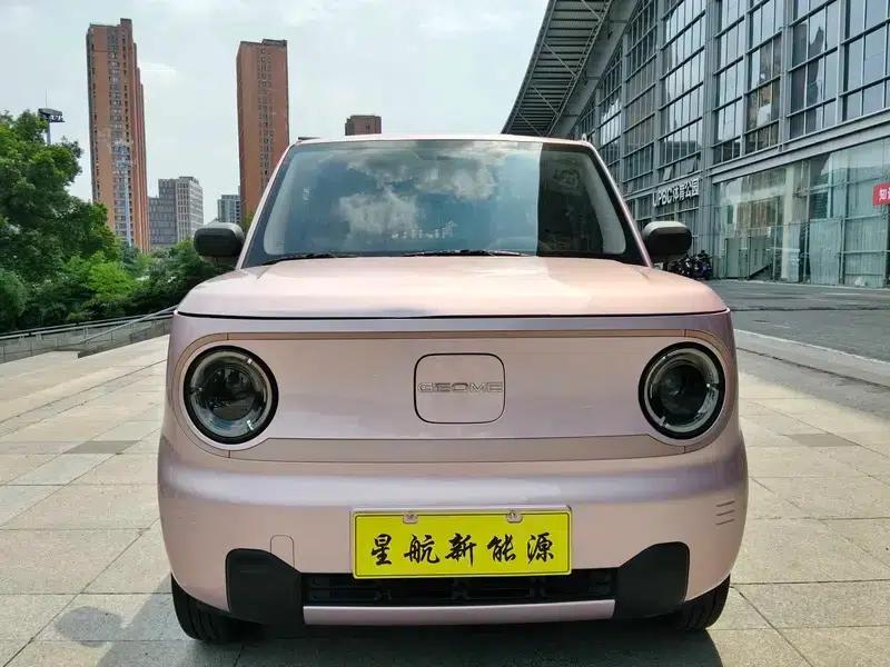 Panda 2024 Model 200km Panda Mini Endurance Bear — миниатюра 2