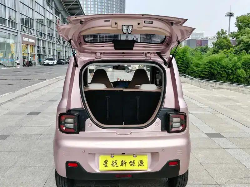 Panda 2024 Model 200km Panda Mini Endurance Bear — миниатюра 17