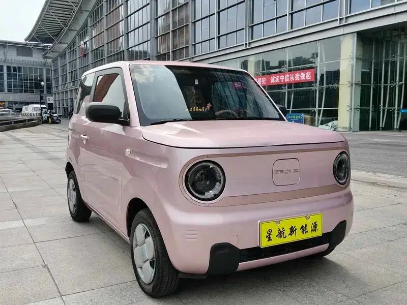 Panda 2024 Model 200km Panda Mini Endurance Bear — миниатюра 3