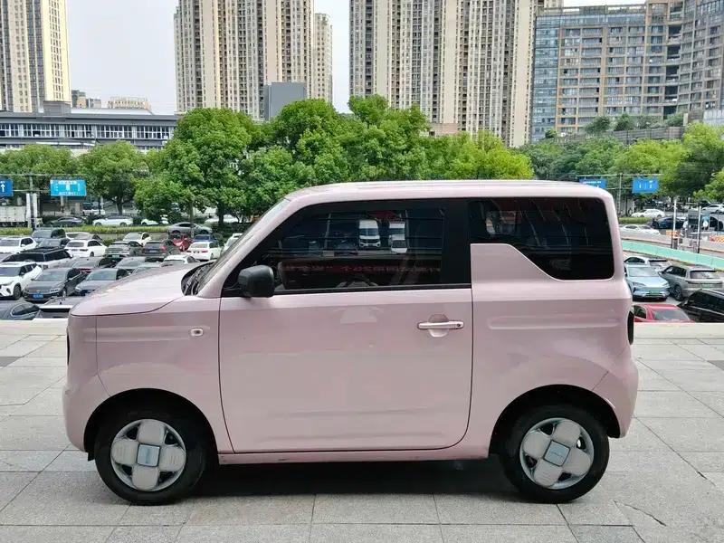 Panda 2024 Model 200km Panda Mini Endurance Bear — миниатюра 4
