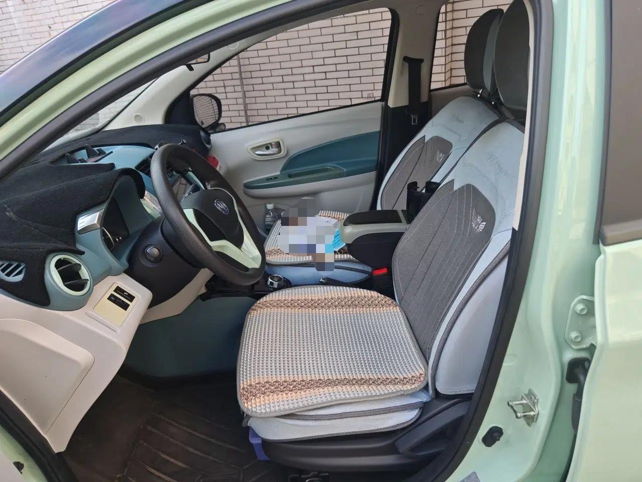 CHANGAN Benni E-Star 2022 National Edition Colorful Limited Edition (Fast-Charging Version) Lithium Iron Phosphate — миниатюра 15