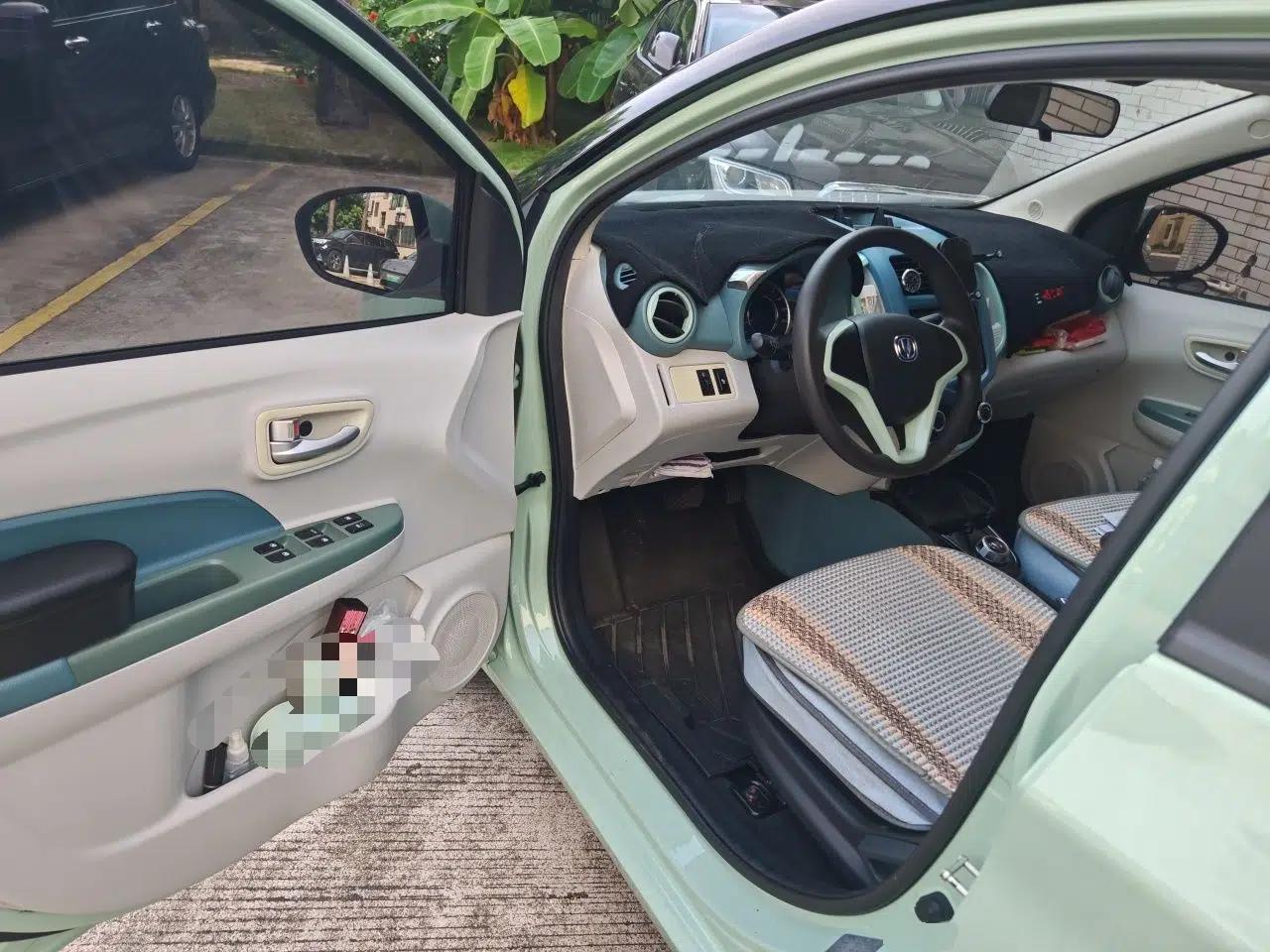 CHANGAN Benni E-Star 2022 National Edition Colorful Limited Edition (Fast-Charging Version) Lithium Iron Phosphate — миниатюра 16
