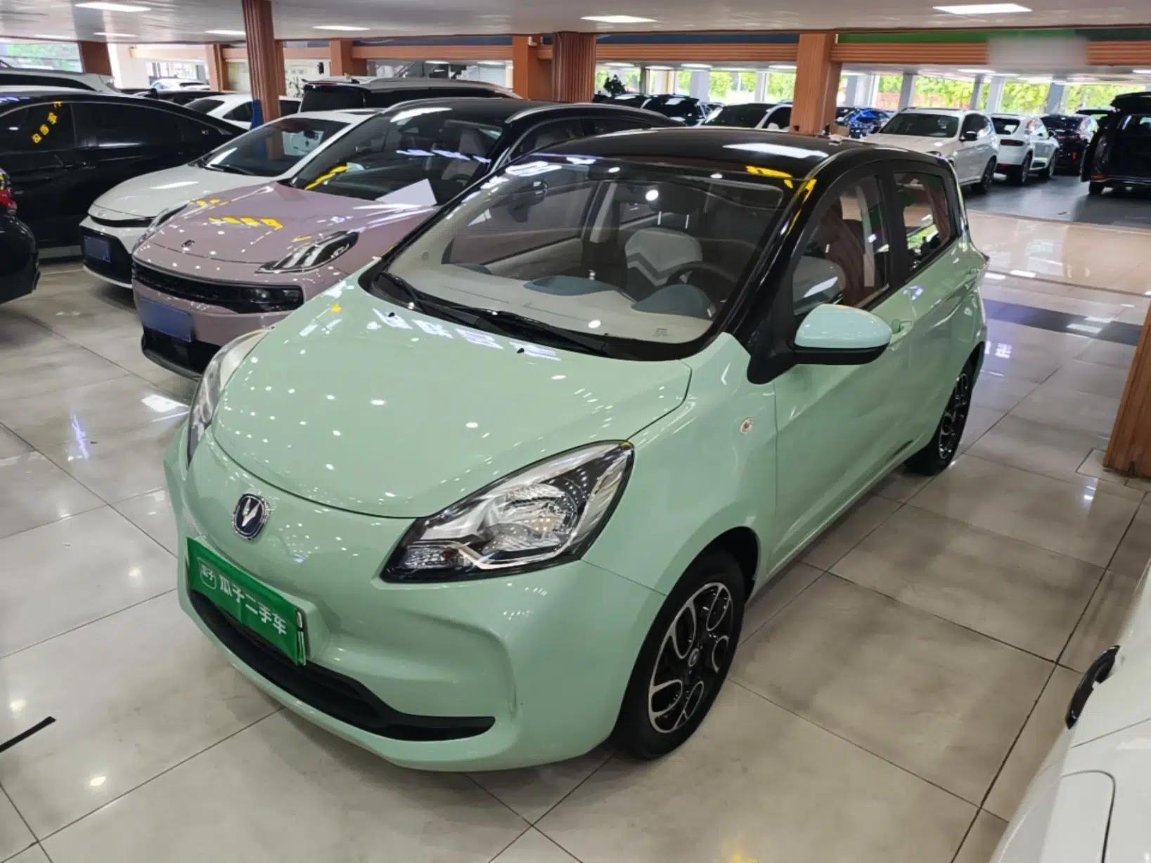 CHANGAN Benni E-Star 2022 National Edition Colorful Limited Edition (Fast-Charging Version) Lithium Iron Phosphate — миниатюра 1