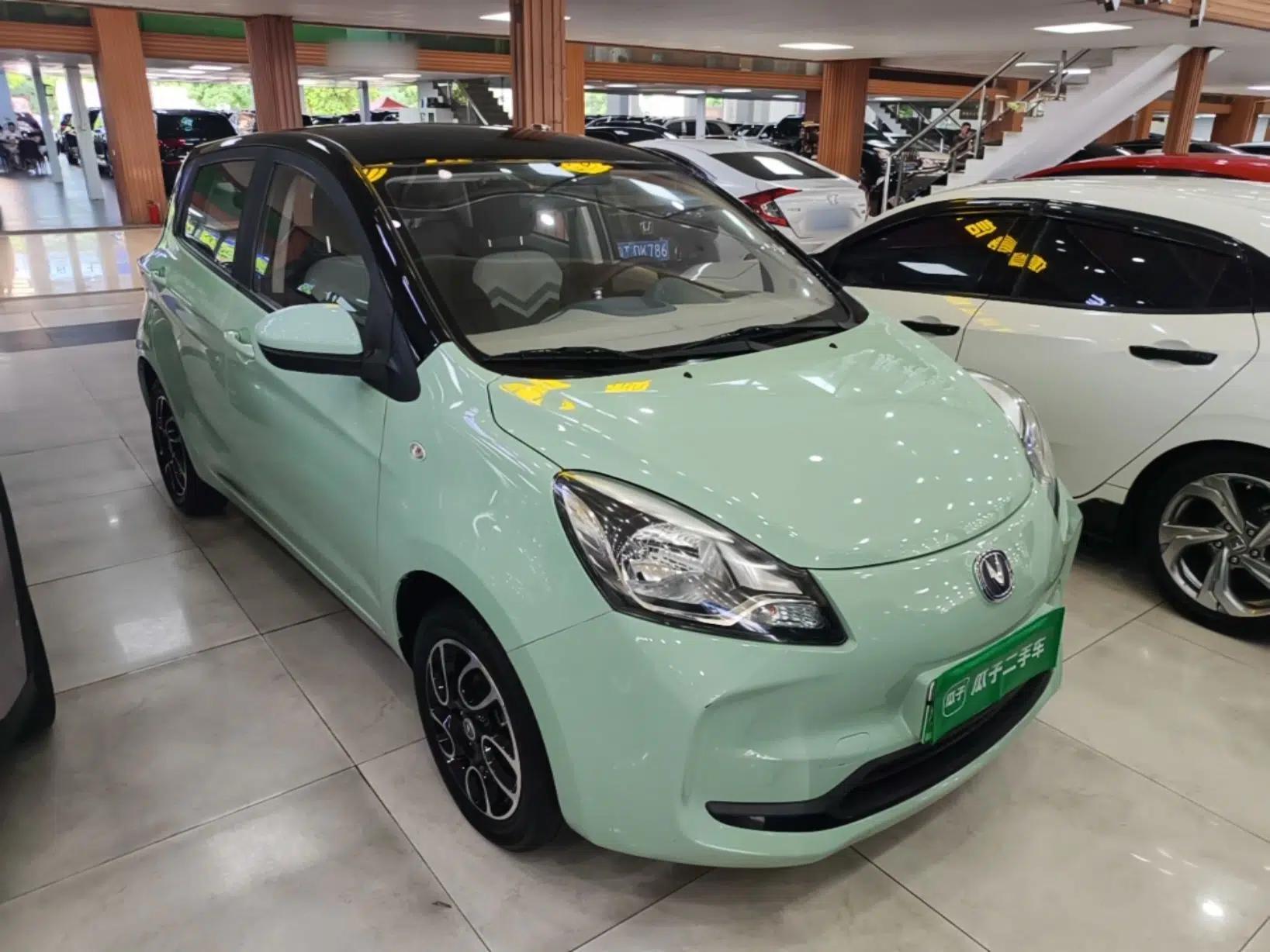 CHANGAN Benni E-Star 2022 National Edition Colorful Limited Edition (Fast-Charging Version) Lithium Iron Phosphate — миниатюра 3