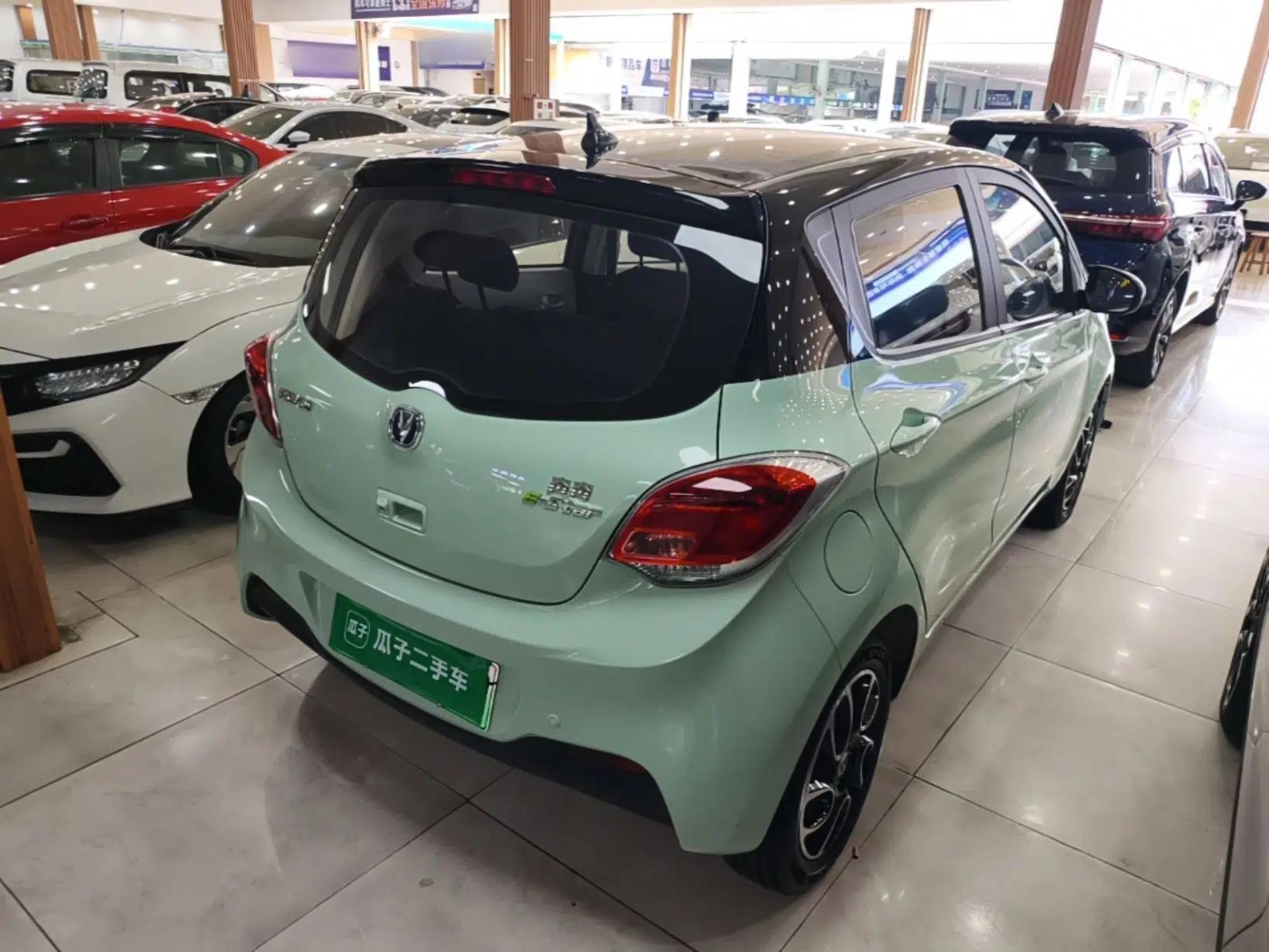 CHANGAN Benni E-Star 2022 National Edition Colorful Limited Edition (Fast-Charging Version) Lithium Iron Phosphate — миниатюра 6