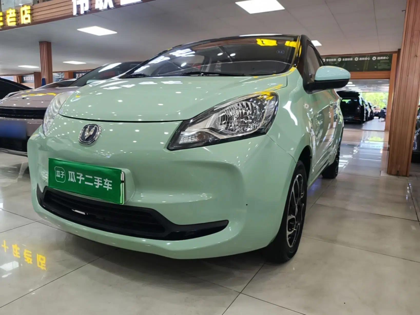 CHANGAN Benni E-Star 2022 National Edition Colorful Limited Edition (Fast-Charging Version) Lithium Iron Phosphate — миниатюра 8