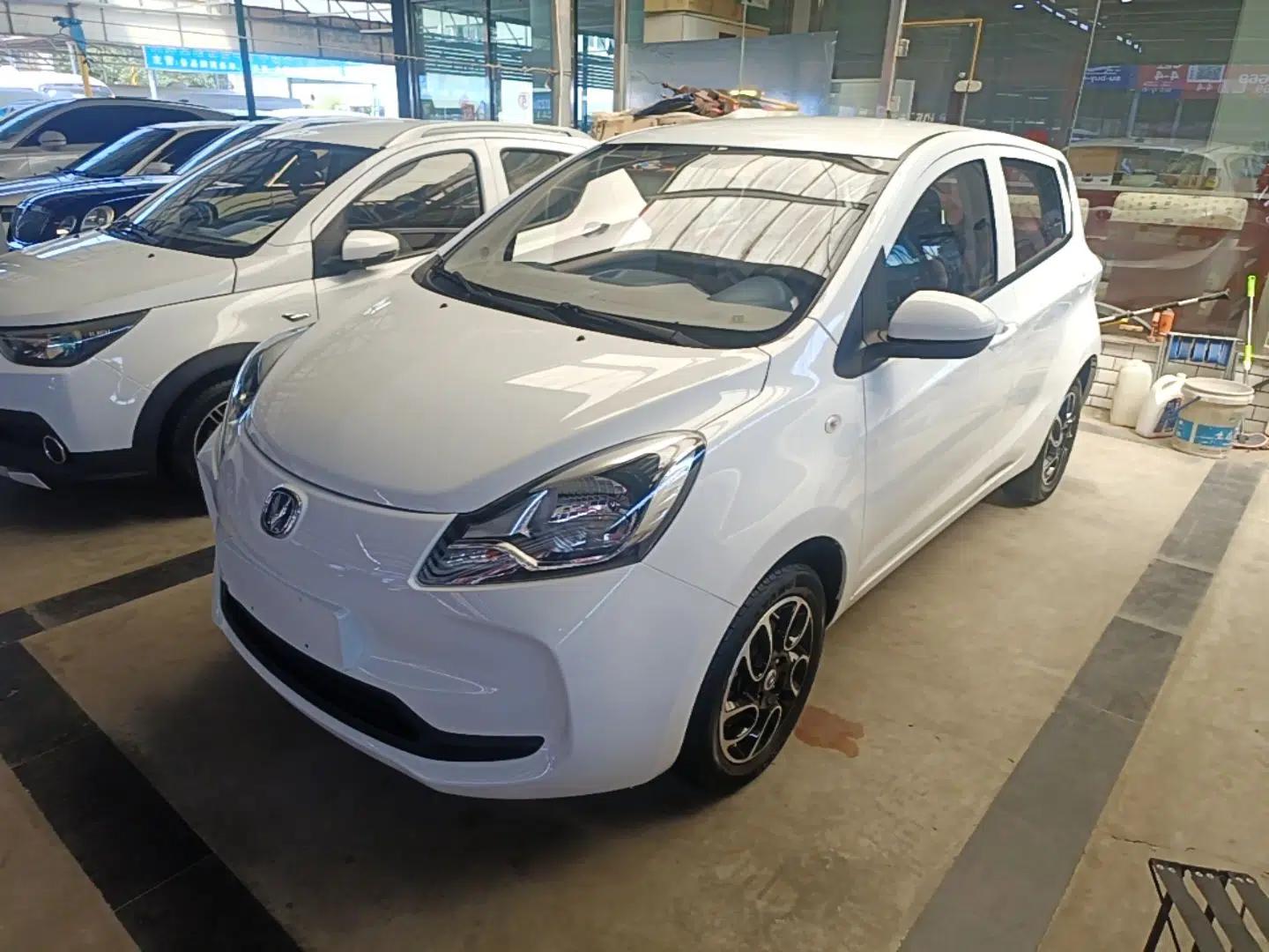 CHANGAN Benni E-Star 2021 National Edition Colorful Version Lithium Iron Phosphate (31.86 kWh) — миниатюра 1