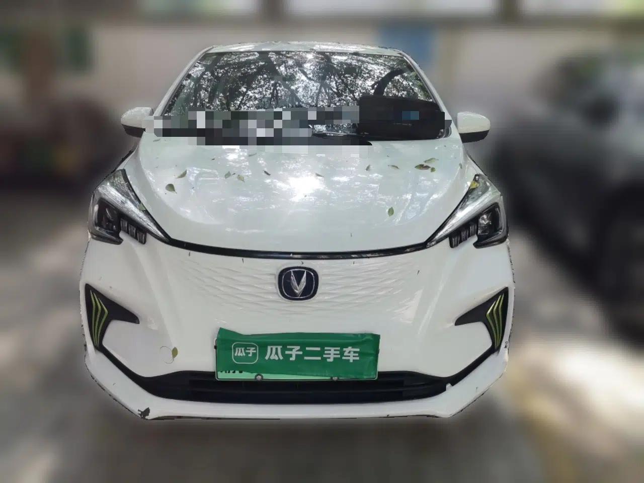 CHANGAN Benni E-Star 2020 Heartbeat Edition NMC Lithium — миниатюра 2