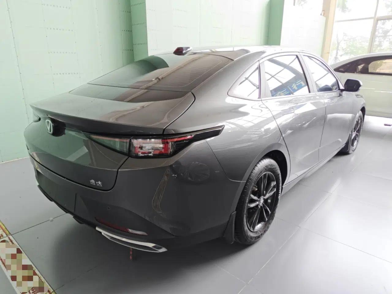 CHANGAN Eado DD 2023 Blue Whale NE 1.5T GDI DCT Luxury Edition — миниатюра 6