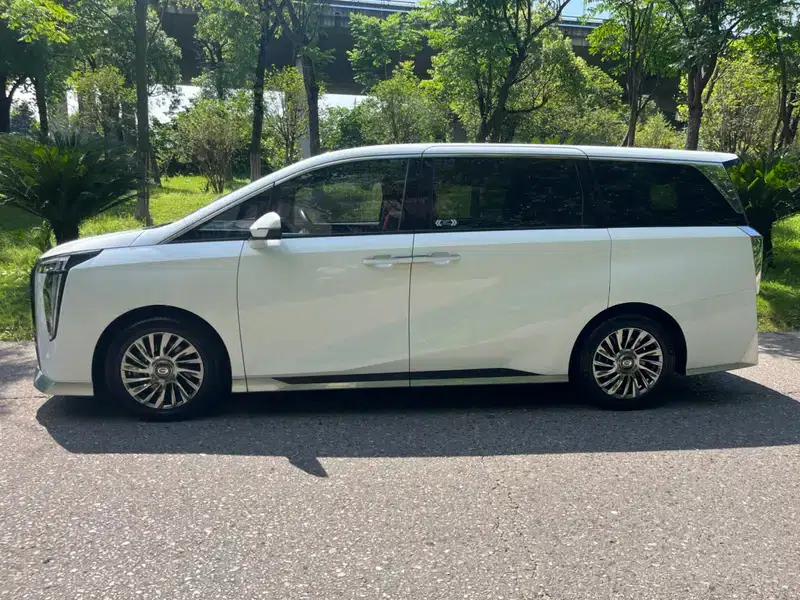 Trumpchi M8 2023 Master Series 2.0TGDI Supreme Edition — миниатюра 4