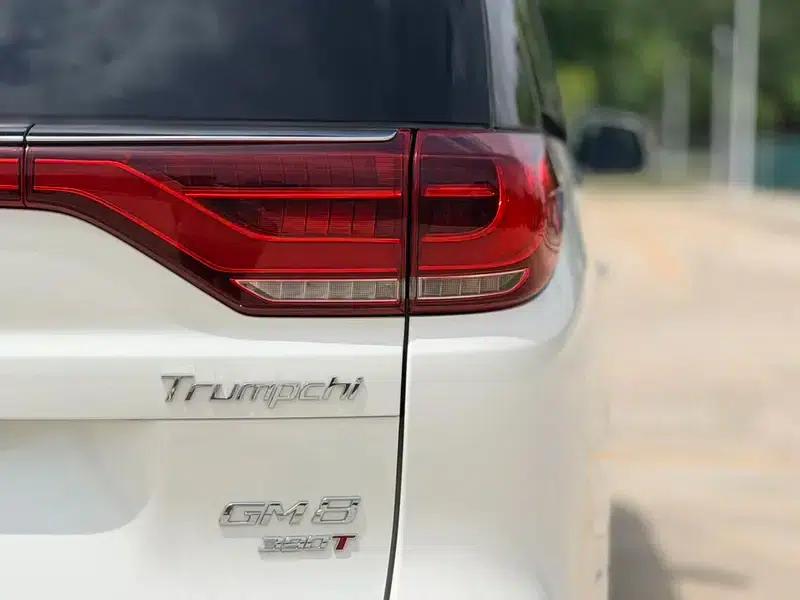 Trumpchi M8 2020 Navigator Edition 390T Premium Version — миниатюра 11