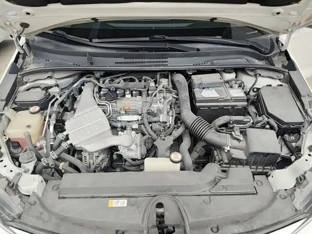 Levin 2019 185T CVT Luxury Edition (China VI Emission Standard) — миниатюра 20