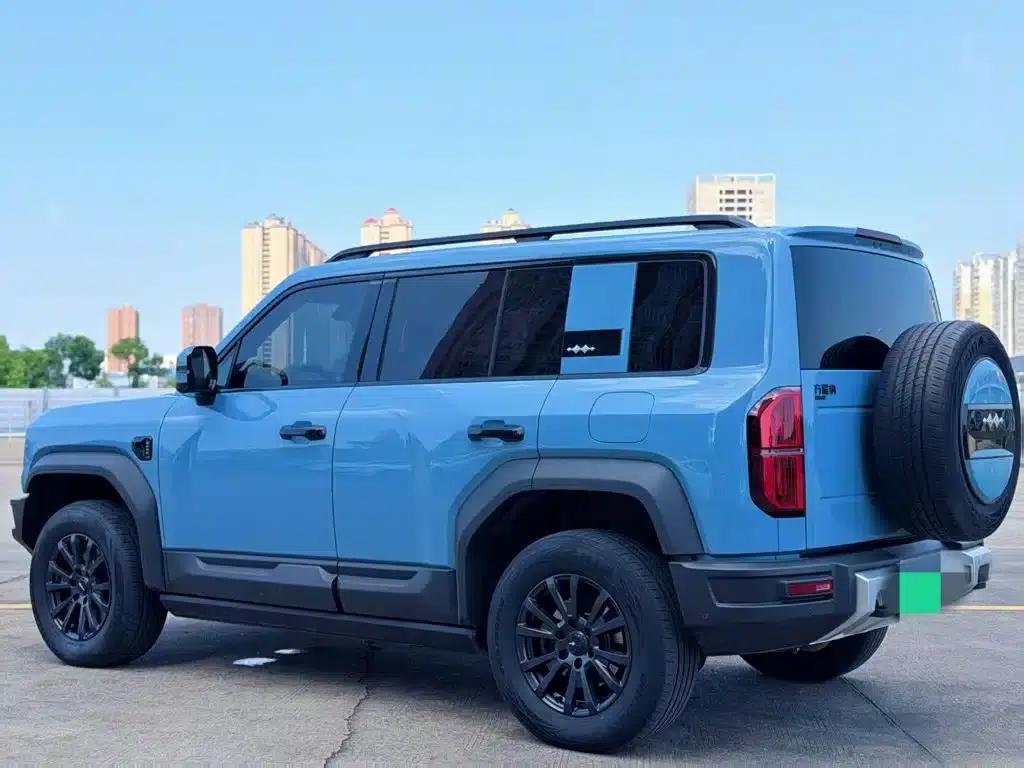 Leopard 5 2023 Navigator Edition — миниатюра 7