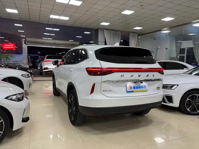 Haval H6 2021 Third Generation 2.0T Automatic Four-Wheel Drive Max Edition — миниатюра 4