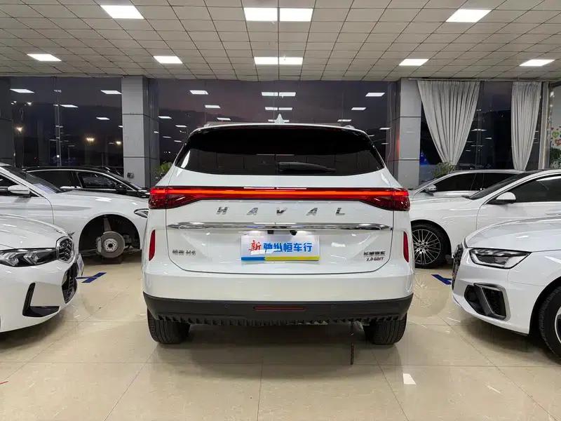 Haval H6 2021 Third Generation 2.0T Automatic Four-Wheel Drive Max Edition — миниатюра 5