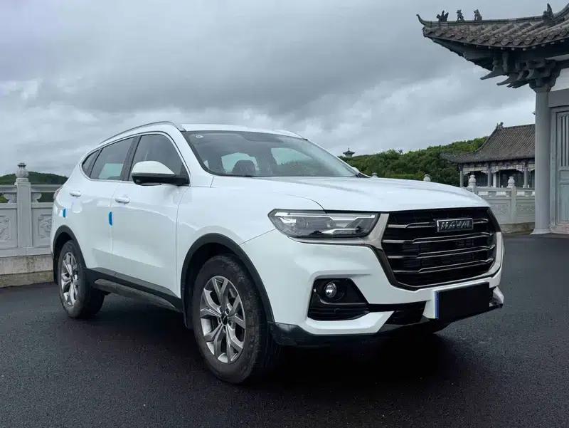 Haval H6 2021 National Trend Edition 1.5T Automatic Champion Edition — миниатюра 3