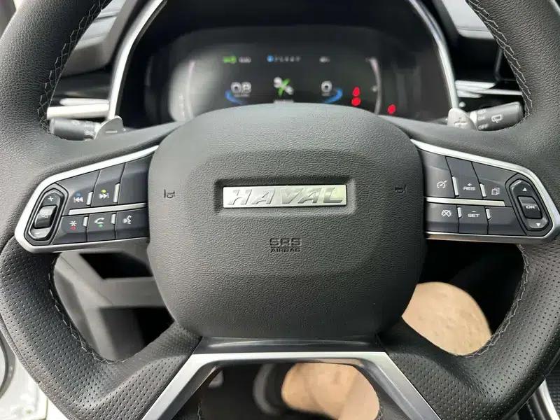 Haval H6 2021 National Trend Edition 1.5T Automatic Champion Edition — миниатюра 12