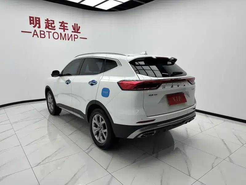 Haval H6 2021 National Trend Edition 1.5T Automatic Champion Edition — миниатюра 4