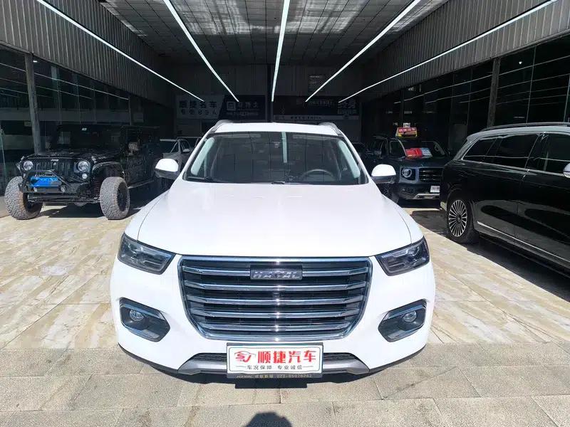 Haval H6 2020 2.0GDIT Automatic Platinum Champion Edition — миниатюра 2