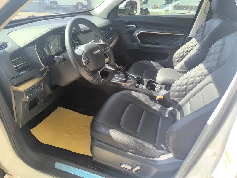 Haval H6 2020 2.0GDIT Automatic Platinum Champion Edition — миниатюра 14